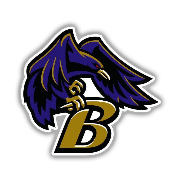 Baltimore Ravens Full Color Vinyl Sticker - Custom Size