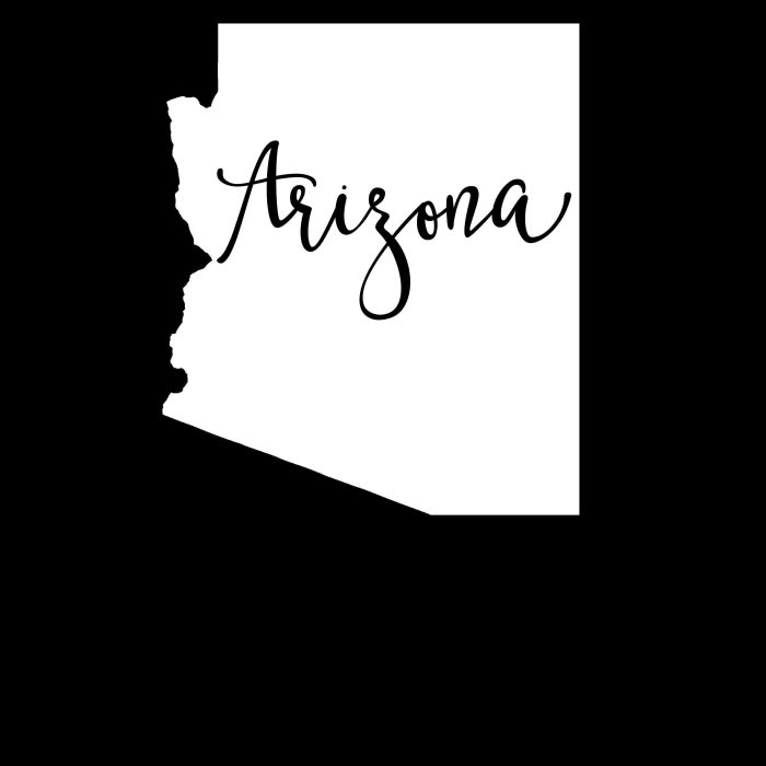 State of Arizona - Custom Size - Image 8