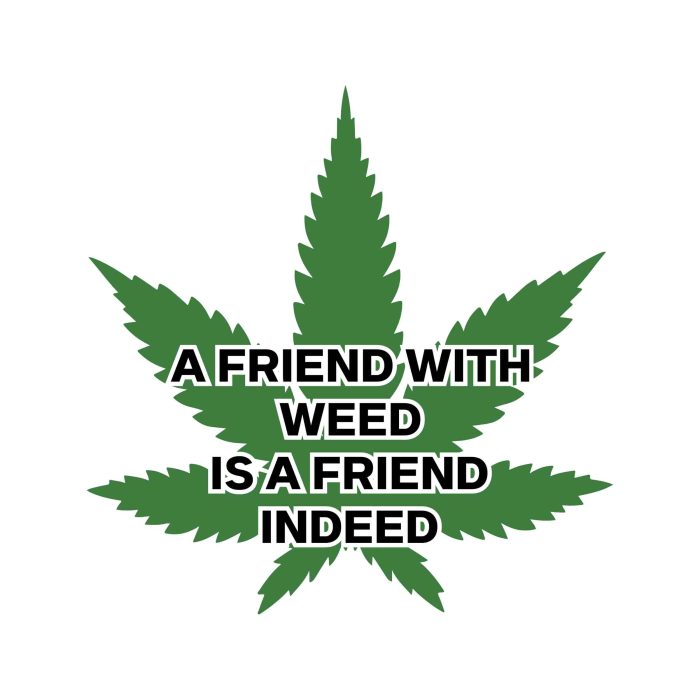 A Friend With Weed Is A Friend Indeed - Iron On - Custom Size