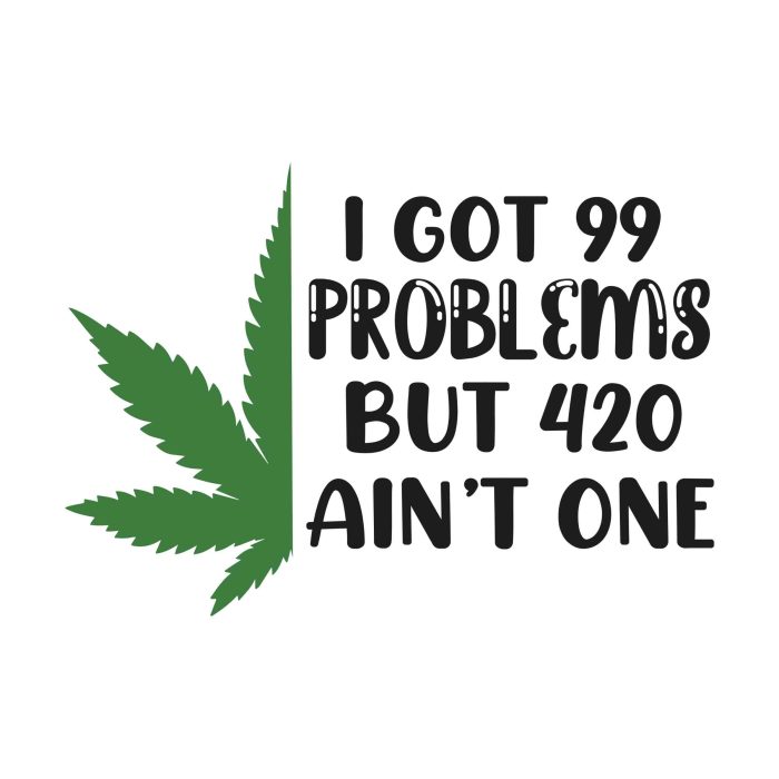 I Got 99 Problems But 420 Ain't One - Iron On - Custom Size