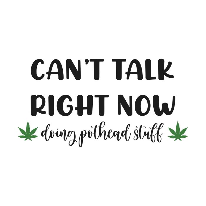 Can't Talk Right Now doing pothead stuff - Iron On - Custom Size