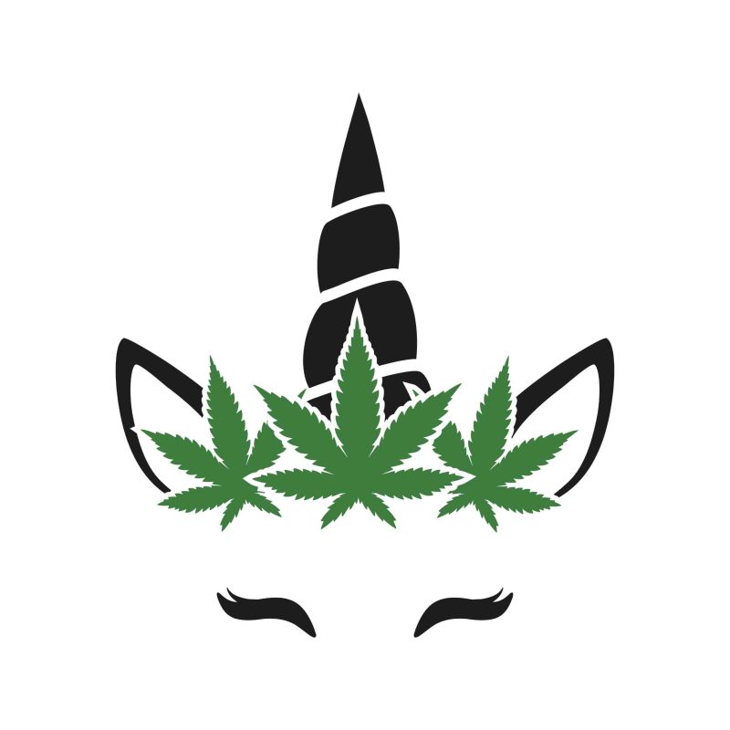 UNICORN WITH MARIJUANA LEAF - Iron On - Custom Size