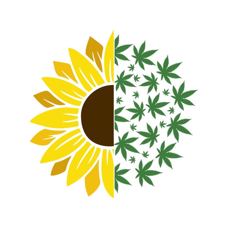 SUNFLOWER AND MARIJUANA LEAF - Iron On - Custom Size