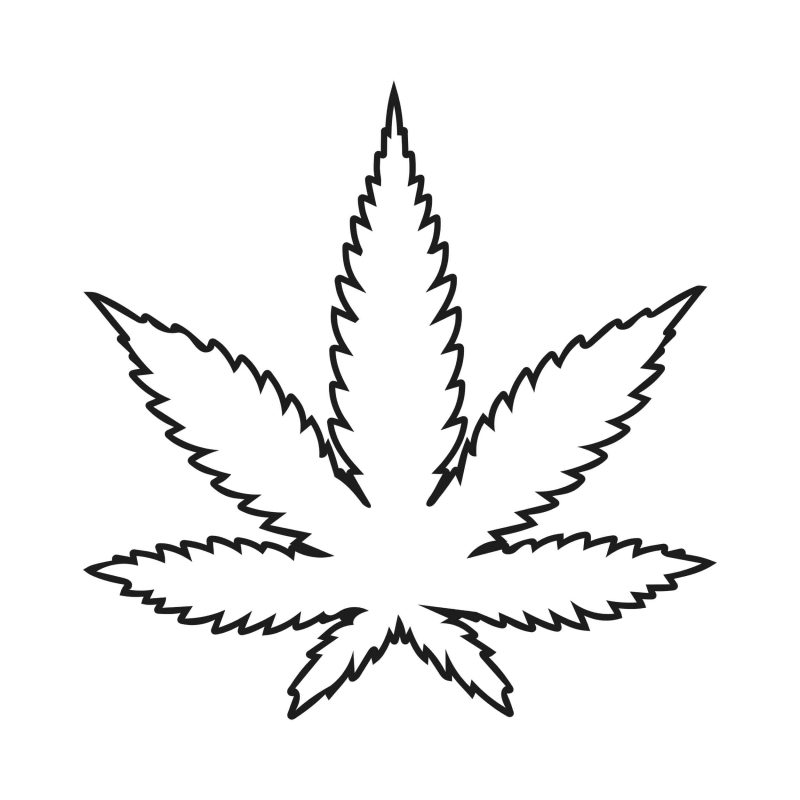 MARIJUANA LEAF - Iron On - Custom Size