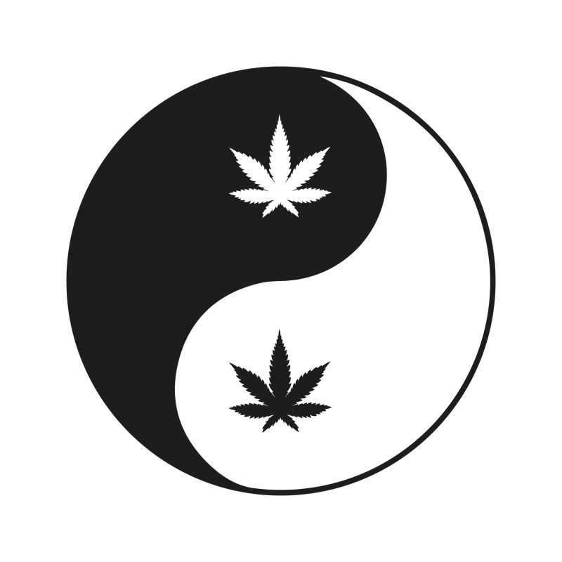 MARIJUANA LEAF - Iron On - Custom Size