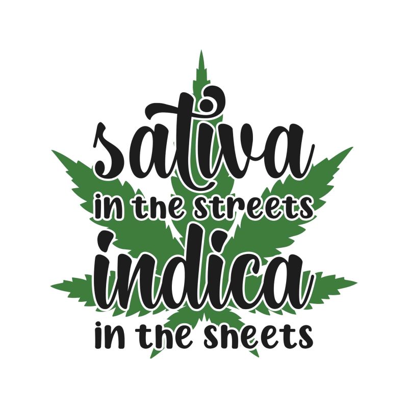 SATIVA IN THE STREETS INDICA IN THE SHEETS - Iron On - Custom Size