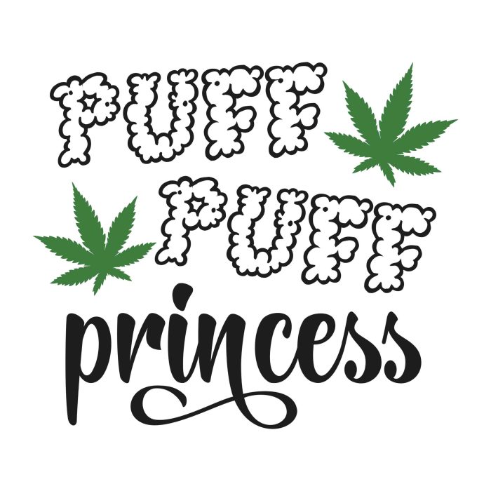 PUFF PUFF PRINCESS - Iron On - Custom Size