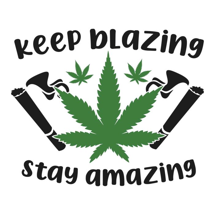 KEEP BLAZING STAY AMAZING - Iron On - Custom Size