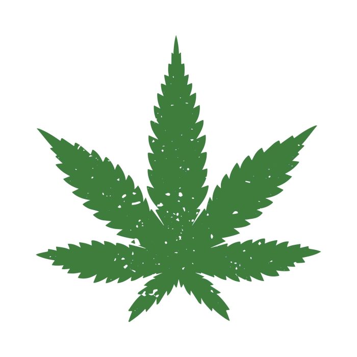 MARIJUANA LEAF - Iron On - Custom Size