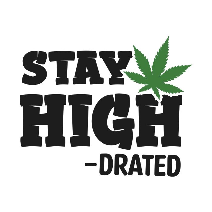 STAY HIGH-DRATED - Iron On - Custom Size