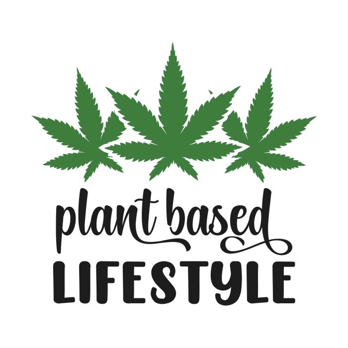 PLANT BASED LIFESTYLE - Iron On - Custom Size