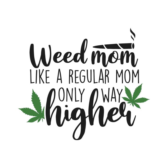 Weed mom Like A Regular Mom Only Way Higher - Iron On - Custom Size