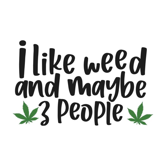 I Like Weed And Maybe 3 People - Iron On - Custom Size