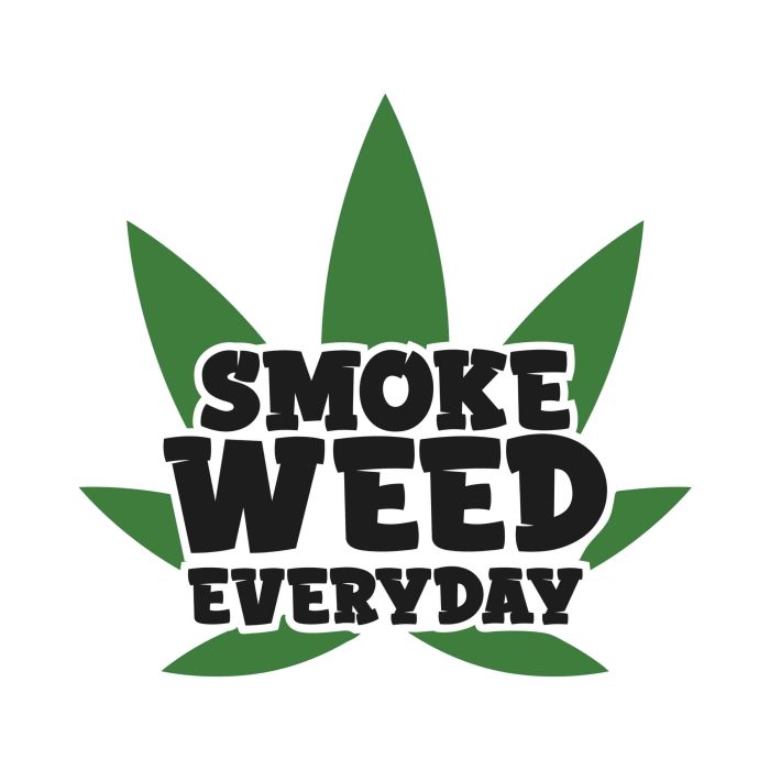 Smoke Weed Everyday - Iron On - Custom Size