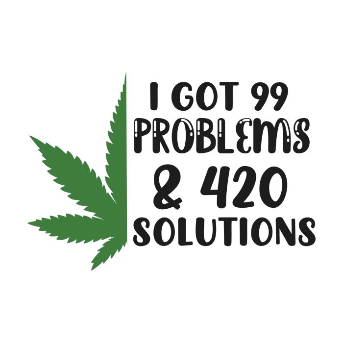 I Got 99 Problems & 420 Solutions - Iron On - Custom Size