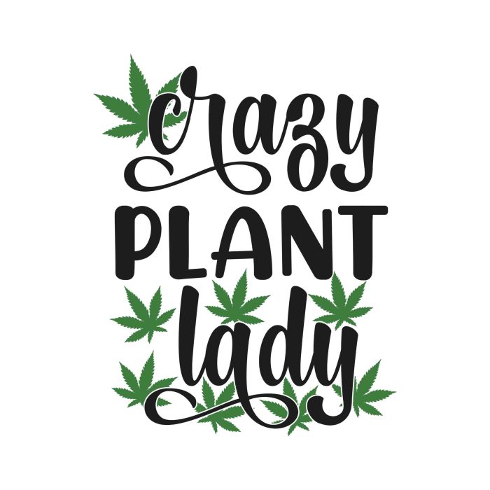 Crazy Plant Lady - Iron On - Custom Size