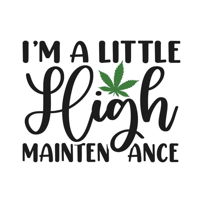 I'm A Little High Maintenance - Iron On - Custom Size