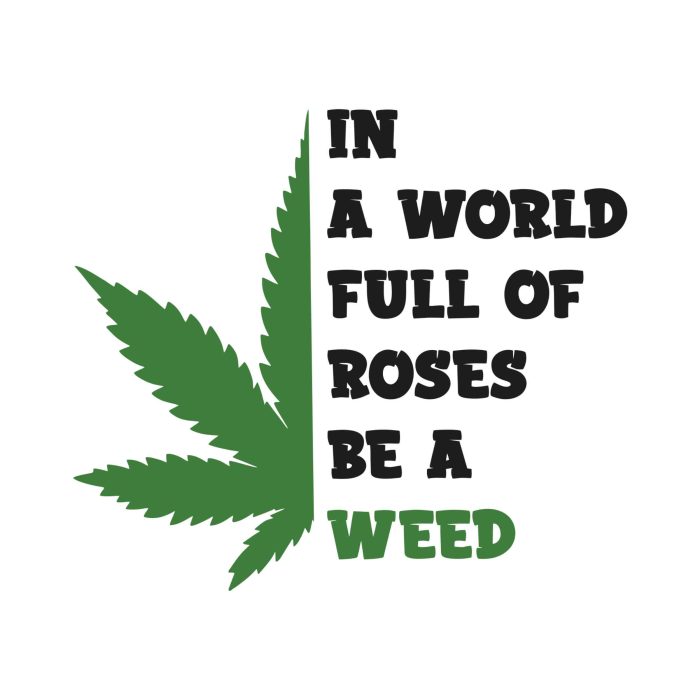 In A World Full Of Roses Be A Weed - Iron On - Custom Size