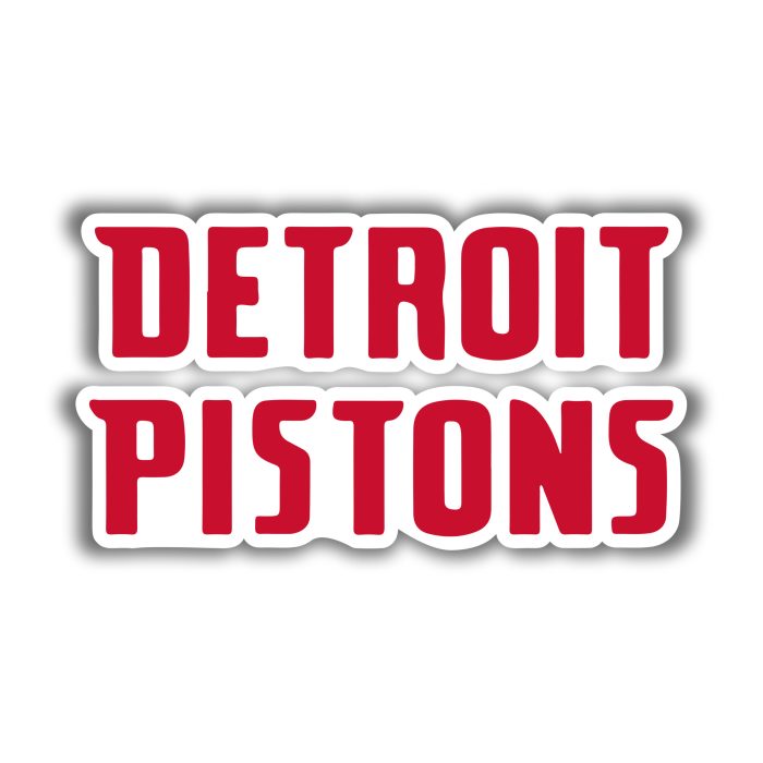 Detroit Pistons - Name - Iron On - Custom Size