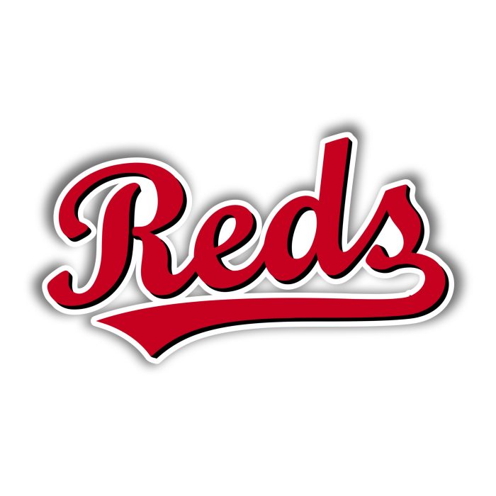 Cincinnati Reds - Reds Cursive - Iron On - Custom Size