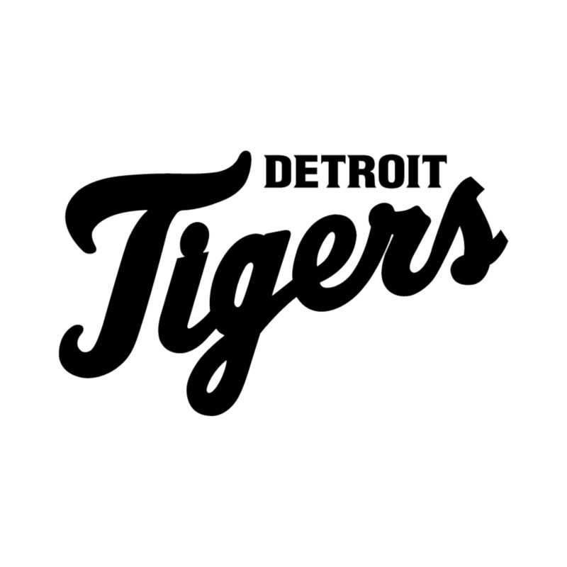 Detroit Tigers - Full Name Black - Iron On - Custom Size