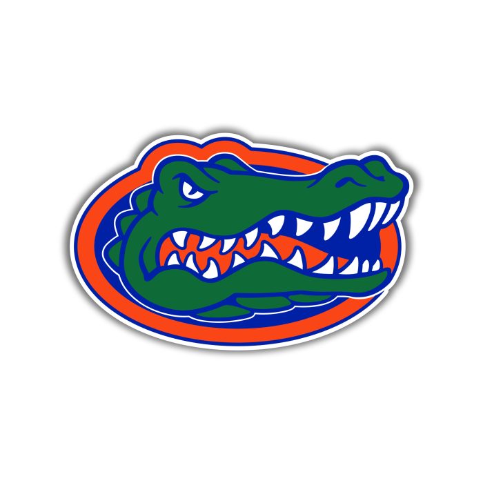 Florida Gators - Iron On - Custom Size