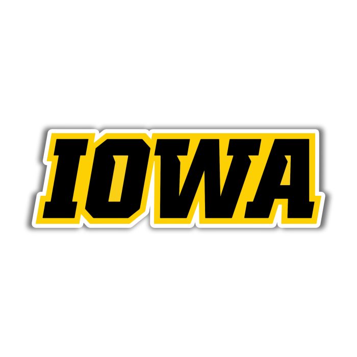 Iowa Hawkeyes - Black Iowa  - Iron On - Custom Size