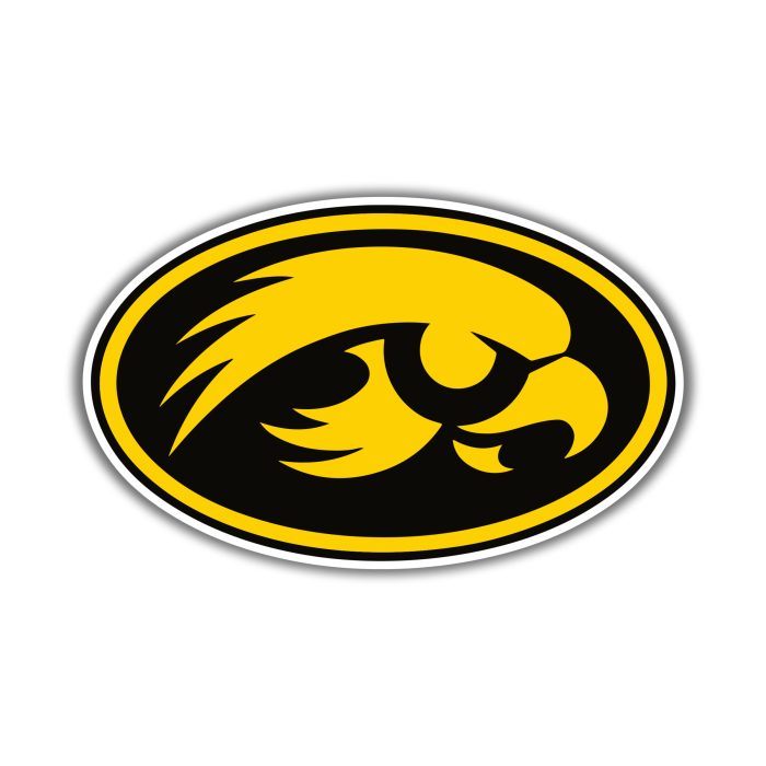 Iowa Hawkeyes - Yellow Hawk Head  - Iron On - Custom Size