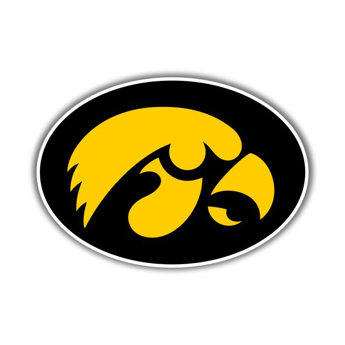 Iowa Hawkeyes - Yellow Hawk Head  - Iron On - Custom Size