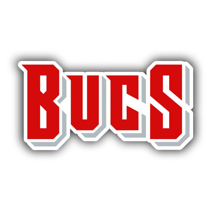 Tampa Bay Buccaneers - Bucs - Iron On - Custom Size