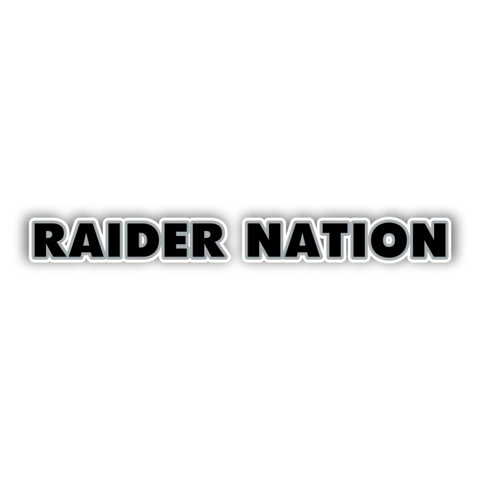 Las Vegas Raiders - Name - Iron On - Custom Size