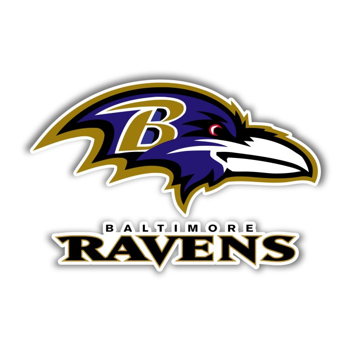 Baltimore Ravens - Raven Head with Lettering - Iron On - Custom Size