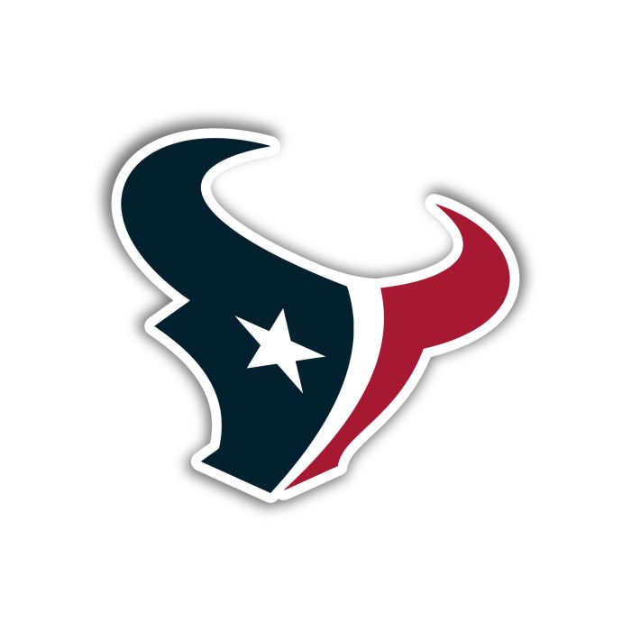 Houston Texans - Red And Blue Bullhead- Iron On - Custom Size