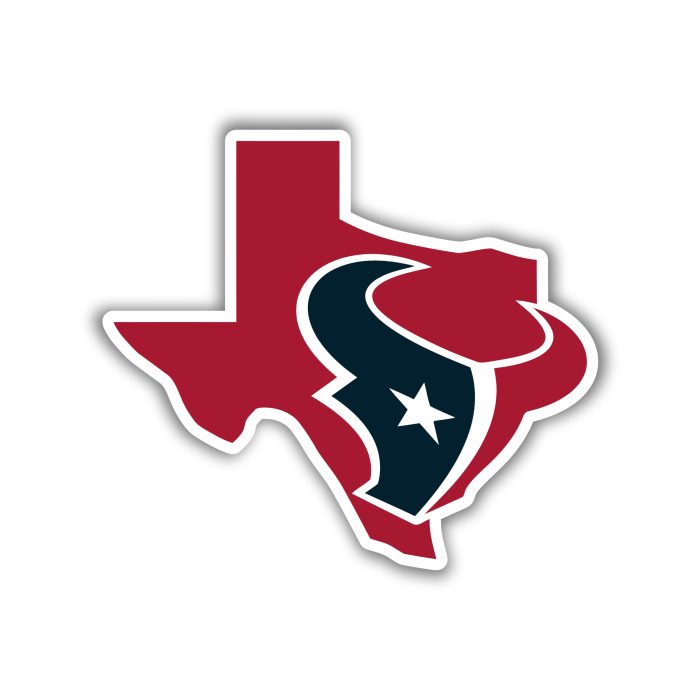 Houston Texans - Red State  - Iron On - Custom Size