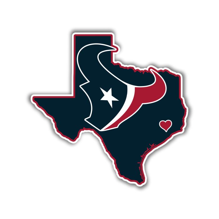 Houston Texans - State With Bullhead  - Iron On - Custom Size