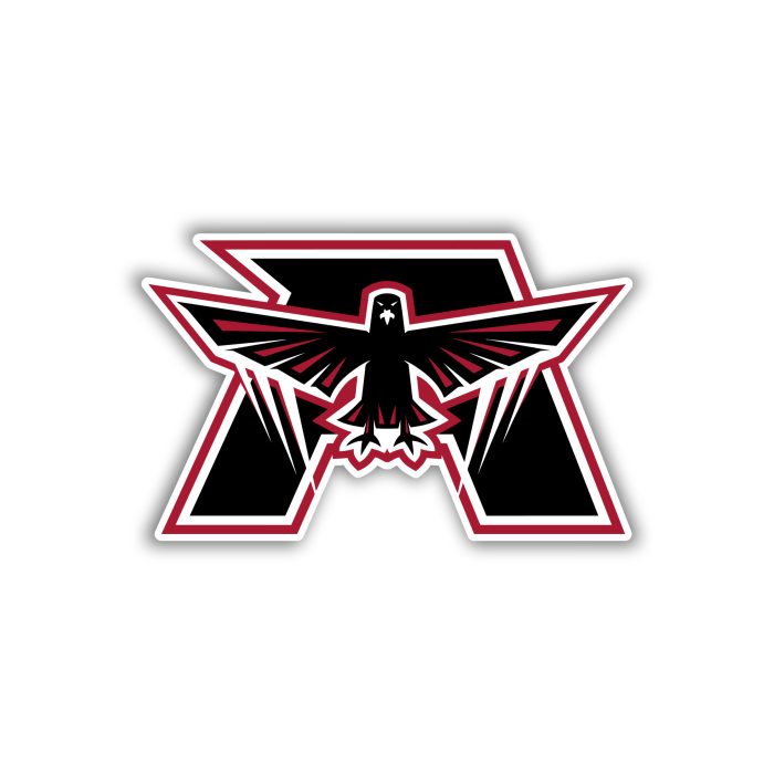 Atlanta Falcons - Bird With Letter A - Iron On - Custom Size