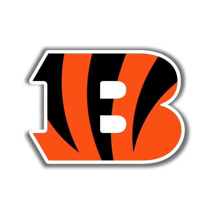 Cincinnati Bengals - B - Iron On - Custom Size