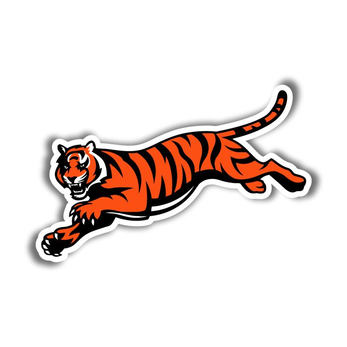 Cincinnati Bengals - Tiger - Iron On - Custom Size