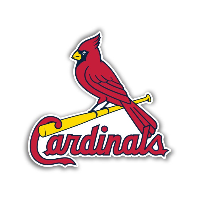 St. Louis Cardinals - Bird with Cardinals - Iron On - Custom Size