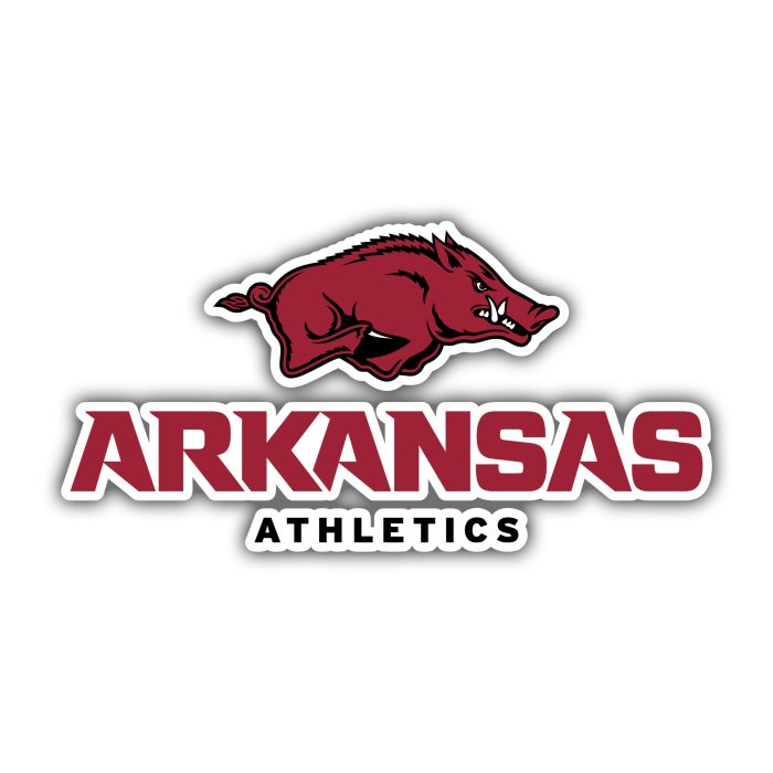 Arkansas Razorbacks - Hog With Red And Black Name Below - Temporary Tattoo