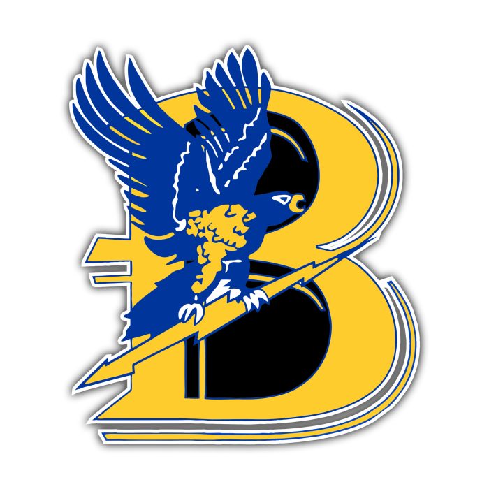 Bentley Falcons - Yellow B With Falcon - Temporary Tattoo