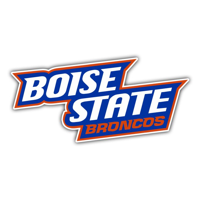 Boise State Broncos - White Lettering - Temporary Tattoo