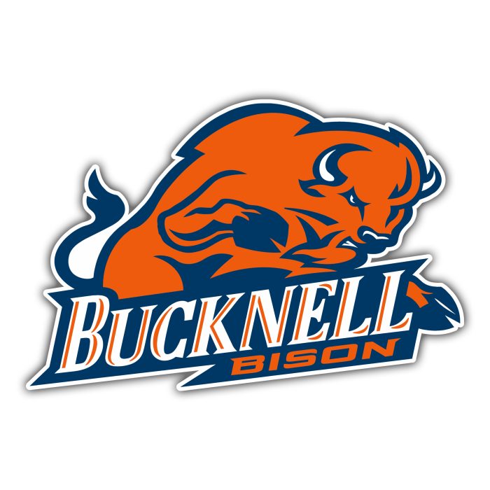 Bucknell Bison - Bison With Name - Temporary Tattoo