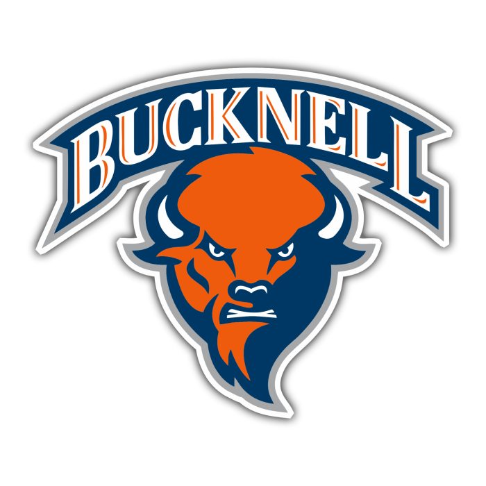 Bucknell Bison - Name With Bison Below - Temporary Tattoo