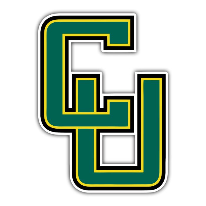 Clarkson Golden Knights - CU - Temporary Tattoo