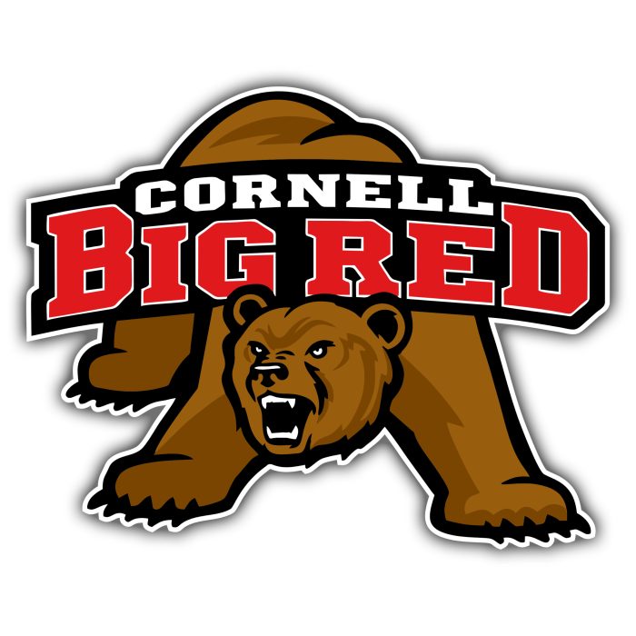 Cornell Big Red - Bear With Name - Temporary Tattoo