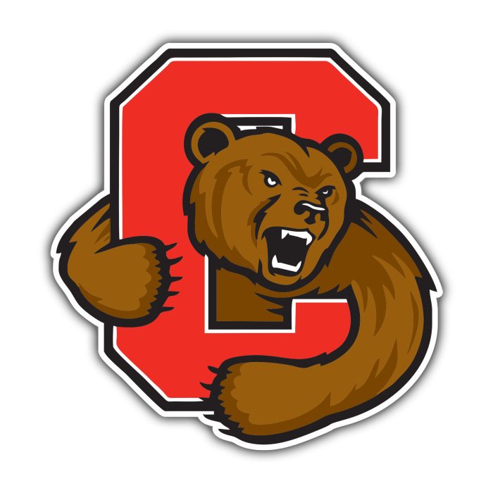 Cornell Big Red - Bear With C - Temporary Tattoo