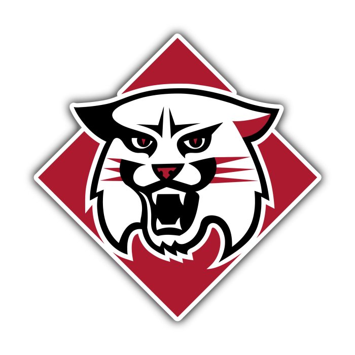 Davidson Wildcats - Head - Temporary Tattoo