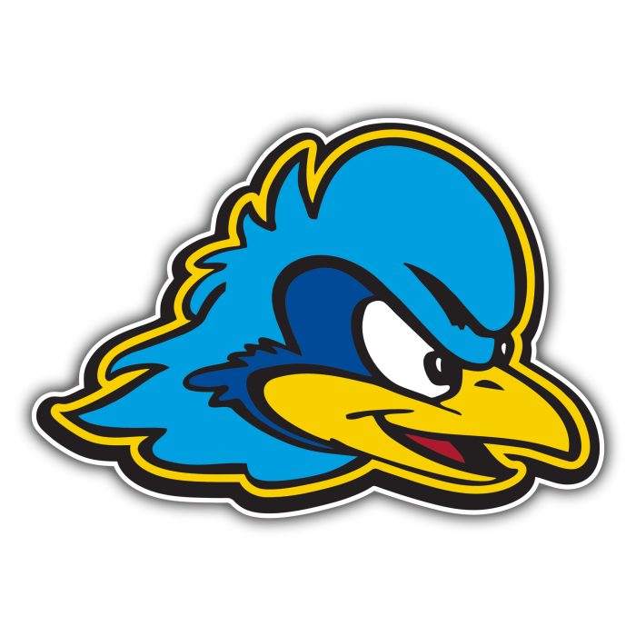 Delaware Blue Hens - Hens Head - Temporary Tattoo