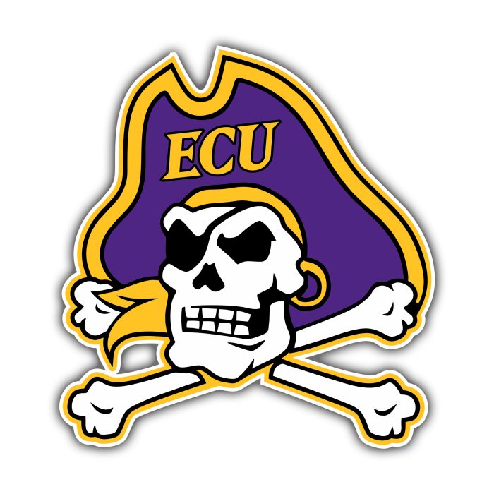 ECU Pirates - Iron On - Custom Size